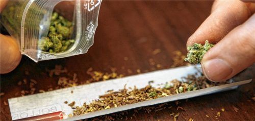 Ein Mann dreht sich einen Joint: Dafür, dass er seinen Sohn und dessen Freunde mit Marihuana beliefert hat, ist ein 58-jähriger Aschauer jetzt zu einer Geldstrafe verurteilt worden. Foto dpa