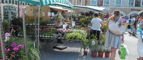 Ein Muss-Termin für Hobbygärtner und Radler: der Frühlingsmarkt in Bad Aibling.