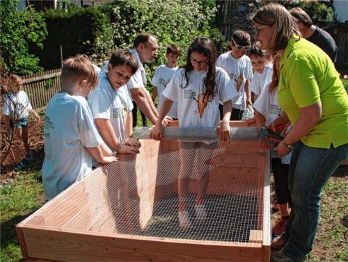 Ernährungsprogramm hautnah: Mit vereinten Kräften bauten die Oberaudorfer Schulkinder im schuleigenen Garten Hochbeete auf.Foto Gruber