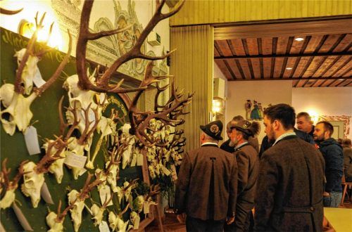 Fachmännische und auch durchaus kritische Blicke – jedes Stück wird nicht nur von einer Bewertungskommission, sondern auch von den Jagdkollegen begutachtet und beurteilt.Foto thomae