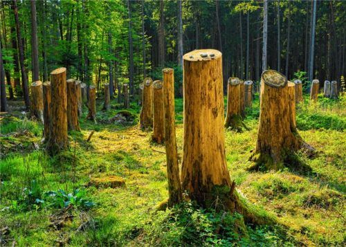 Gedenkort Massengrab