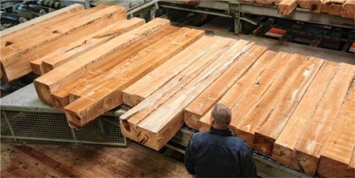 Holzverarbeitung: Ein Thema des neuen, internationalen Weiterbildungsprogramms der Hochschule. Foto dpa