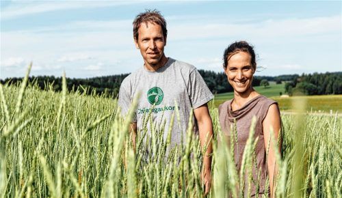 Julia Reimann und ihr Mann Stefan Schmutz inmitten von Getreide, dem ihr Unternehmen „Chiemgaukorn“ seinen Namen verdankt. Foto re