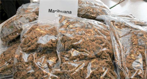 Beträchtliche Mengen Marihuana und Cannabissamen wurden bei dem Angeklagten gefunden. Foto  DPA