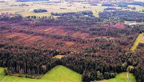 Renaturierungen will das Landratsamt in der Lienzinger Filze einleiten. Ziel ist, dass das Moor wieder wächst – dass ein Hochmoor entsteht.  th