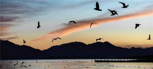 Tourismusregion Chiemgau: Viele Gemeinden der Region – auch Frasdorf – wollen die Geschichte der Römer genauer beleuchten. Foto dpa