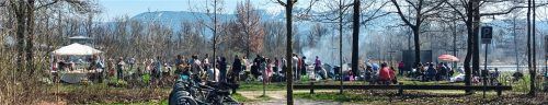 Treffpunkt See: Picknickstimmung, die nicht bei allen Ausflüglern auf positive Resonanz stieß. Fotos Ziegler