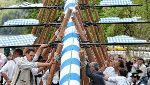 Und hoch damit: Beim Maibaumaufstellen geht es in der Region wieder auf zahlreichen Dorfplätzen zünftig-bayerisch zu. Foto  Dpa