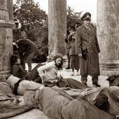 Wilde Zeiten im E-Garten