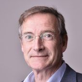 „Viele Menschen, viele Gänse“