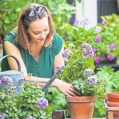 Sommer in der Wohnung