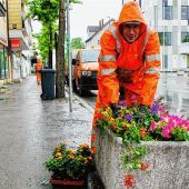 Das ideale Wetter zum Blumenpflanzen