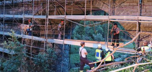Abenteuerlustiges Jungrind verirrt sich auf Baugerüst: Feuerwehr hilft