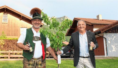 Am Ende des Besuchs der Delegation aus der südfranzösischen Gemeinde Camblanes-et-Meynac in Nußdorf pflanzten die beiden Bürgermeister Sepp Oberauer und Jean-Philippe Guillemont einen Kirschbaum auf dem Dorfanger.Foto stv