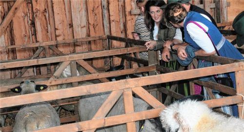 Bayerns Landwirtschaftsministerin Michaela Kaniber hörte sich die Sorgen und Nöte der Schafhalter an. Bei einem Rundgang über das Festgelände informierte sie sich detailliert über Rassen, Schur und Haltungsbedingungen und suchte das Gespräch mit Schafhaltern und Besuchern.Fotos Strim