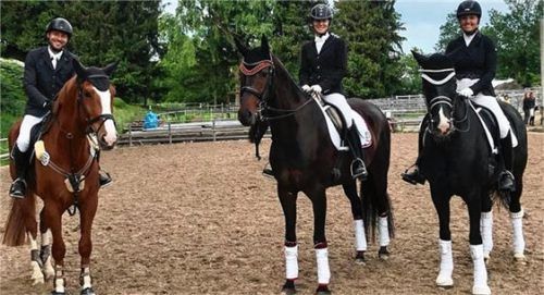 Die Neubeurer Reiter feierten gleich mehrere Erfolge.