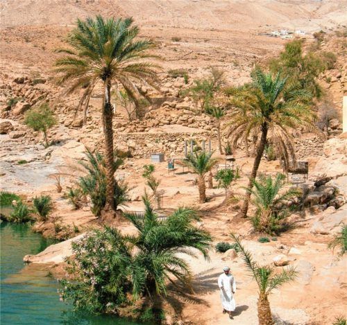 Ein Ausflug führt in die Oase Wadi Bani Khalid. Foto ExplorerFernreisen/CanvasClub