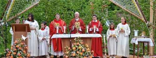 Ein langer Festzug mit insgesamt 43 Vereinen schritt vom Festzelt zum Schulsportplatz (rechtes Foto). Dort zelebrierte Pfarrer Guido Seidenberger, unterstützt von Pfarradministrator Konrad Roider und Pfarrer Magister Franz Xaver Hell aus St.Pölten, den Festgottesdienst.Fotos niessen