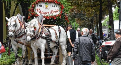 Ein prächtiges Gespann begrüßte am Eingang die Gäste. Fotos Schlecker