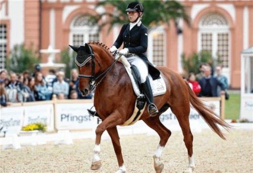 Erfolgreicher Saisonauftakt für Trost