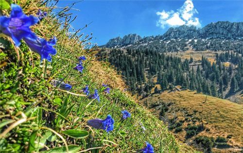 Ja, so blau, blau, blau ...