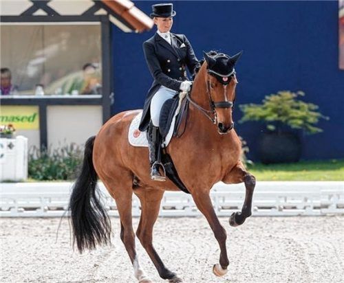 Jessica von Bredow-Werndl auf „Zaire-E“.Foto Sportphoto.de