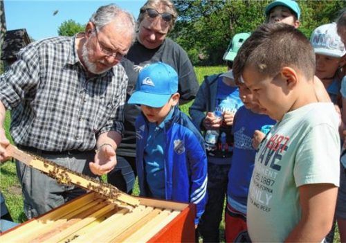 Mit gebührendem Abstand schaute die Kindergruppe des Nußdorfer Obst- und Gartenbauvereins Imker Franz Schweinsteiger zu, wie er einen Bienenstock aufstellt.Foto Stv