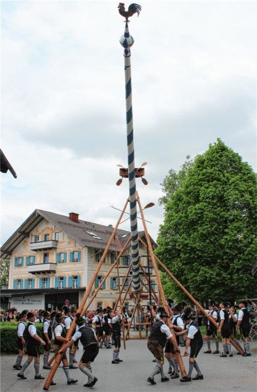 Mit viel Muskelkraft und Erfahrung