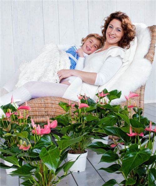 Muttertag ist der bekannteste und für viele sicher auch der wichtigste Aktionstag im Mai. Foto anthuriuminfo