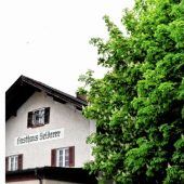 Schattenspender in voller Blüte