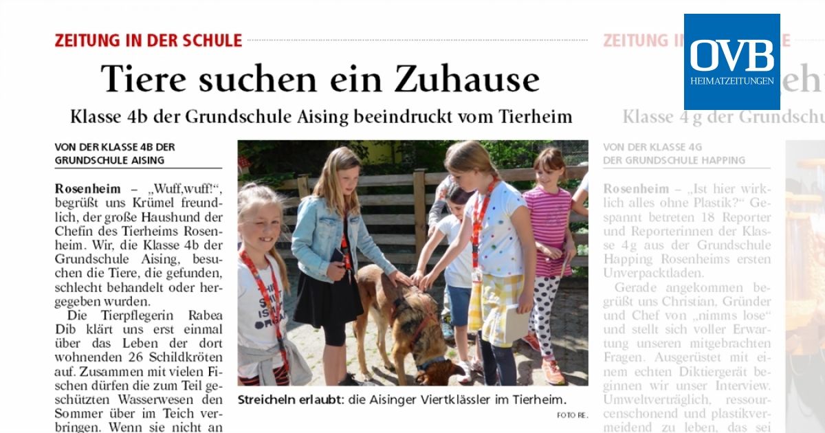 Tiere Suchen Ein Zuhause Ovb Heimatzeitungen