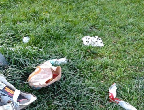 So zeigt sich das Gelände nach einem sommerlichen Wochenende: Papiertüten, Grillschalen, Müll, mitunter sogar leere Bierflaschen. Dem Kolbermoorer Bauhofchef bleibt nur der Appell: „Nehmt euren Müll wieder mit!“ Foto re