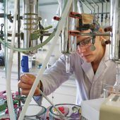 Sie passen auf unser Essen auf