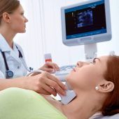 Kleine Drüse – große Wirkung