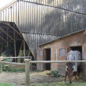 Pferdehof zum Schnäppchenpreis