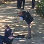 Parkbank-Streit kostet 43-Jährigen das Leben