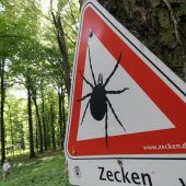 Fleischallergie durch Zecken