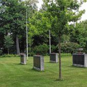 Mitte Juni beginnen die Rodungen