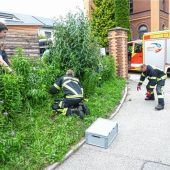 Entenrettung: Voller Körpereinsatz war gefordert