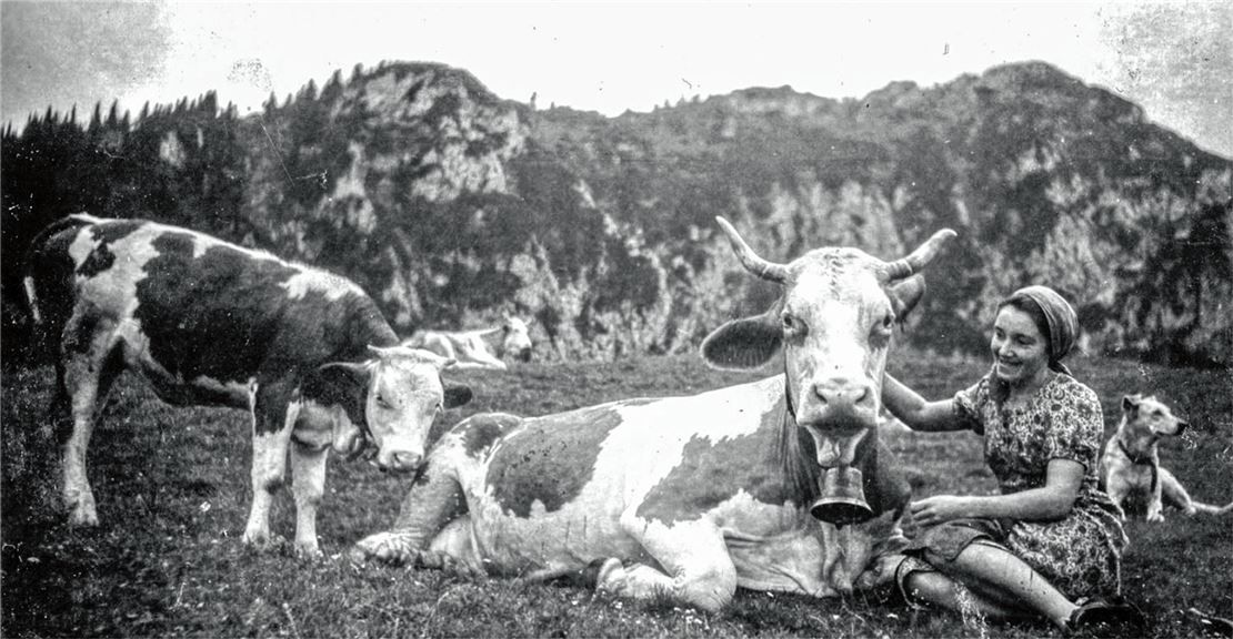 Als Titelbild für ihr Buch wählte Johanna Bauer ein Foto, das ihre