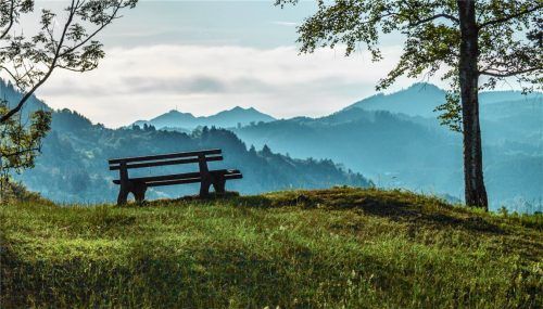 Eine ziemlich verwaiste Bank