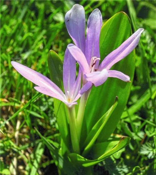 Ist der Sommer schon wieder vorbei?