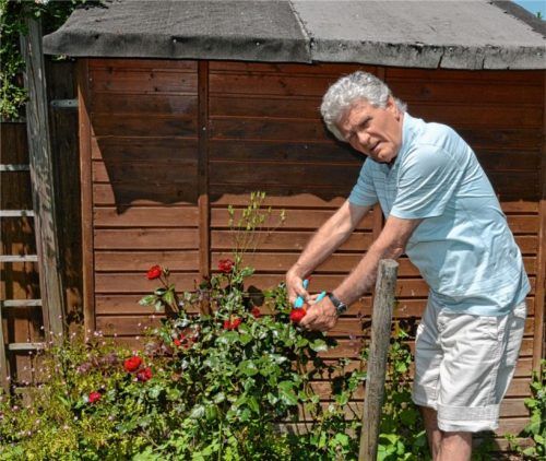 Vorsitzender Josef Grundner beim Garteln in seiner Schrebergartenparzelle.Foto ps