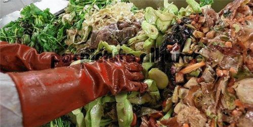 277 Tonnen Küchen- und Speiseabfälle wurden im vergangenen Jahr in den Wertstoffhöfen des Landkreises angeliefert. Foto dpa