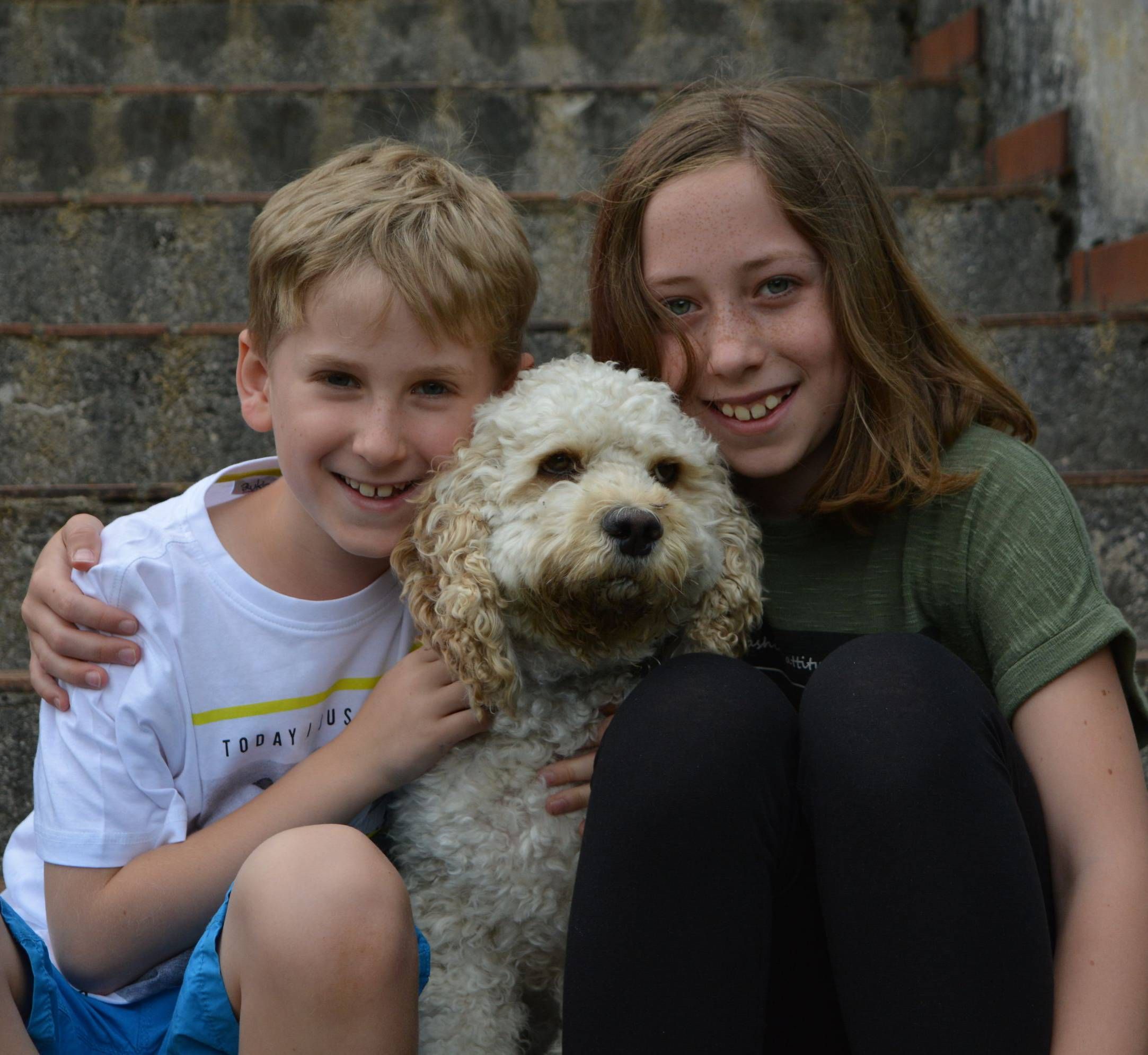 Wem Gehört Henry Der Hund Von Wir In Bayern OVB Heimatzeitungen | Henry, der Superhund