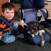 Allerlei Unsinn in den Köpfen