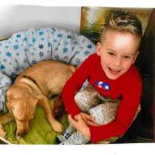 Gemeinsam Gassi gehen