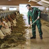 Immer mehr Großbetriebe in Bayern