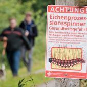 Der unerwünschte Krabbel-Trupp