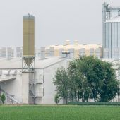 Mastbetrieb statt Bayern-Ei